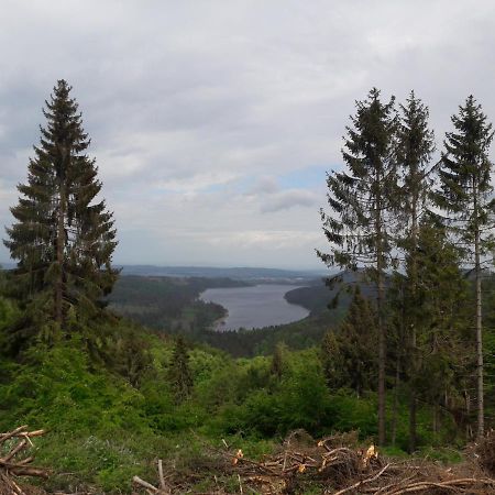 Ferienwohnung Weitblick Wolfshagen  Buitenkant foto