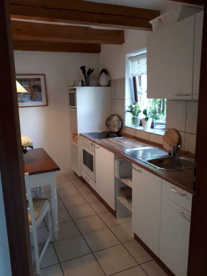 Ferienwohnung Weitblick Wolfshagen  Buitenkant foto