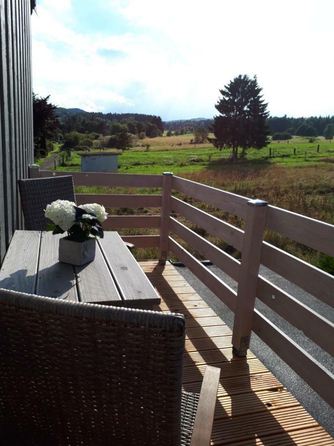 Ferienwohnung Weitblick Wolfshagen  Buitenkant foto
