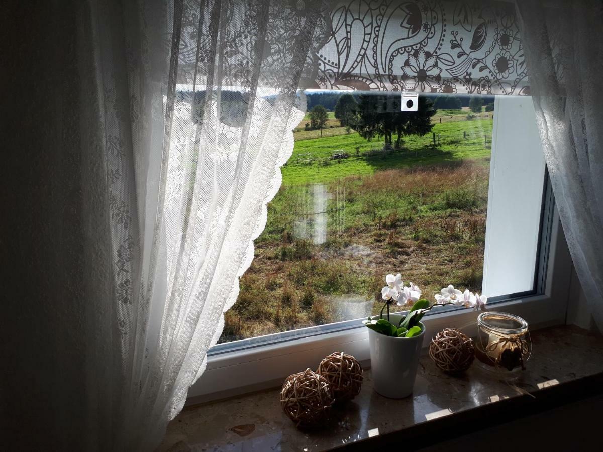 Ferienwohnung Weitblick Wolfshagen  Buitenkant foto