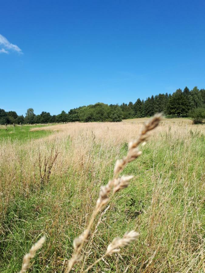 Ferienwohnung Weitblick Wolfshagen  Buitenkant foto