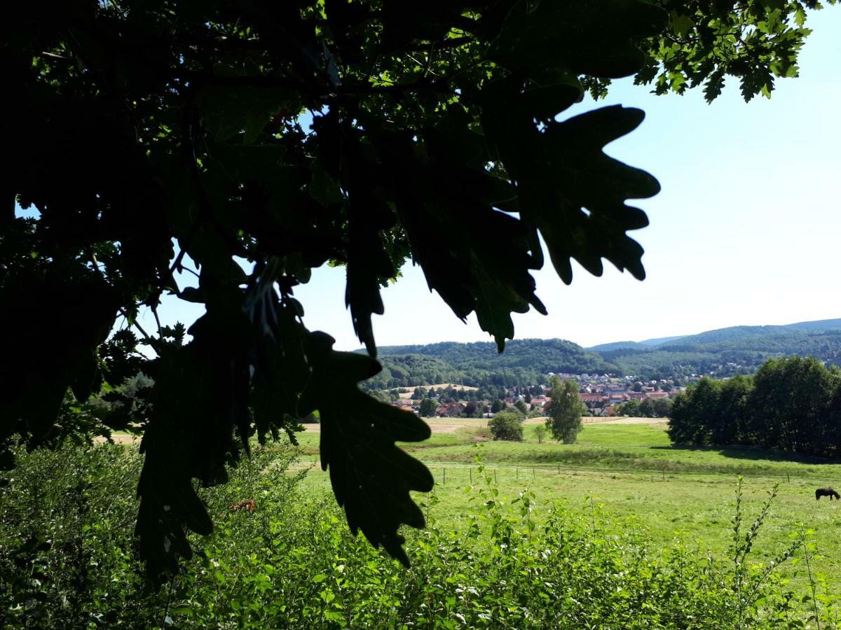 Ferienwohnung Weitblick Wolfshagen  Buitenkant foto