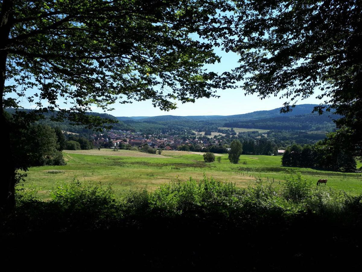 Ferienwohnung Weitblick Wolfshagen  Buitenkant foto