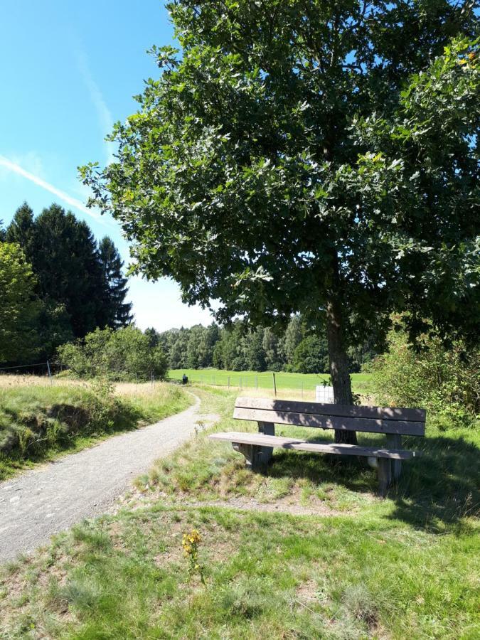 Ferienwohnung Weitblick Wolfshagen  Buitenkant foto