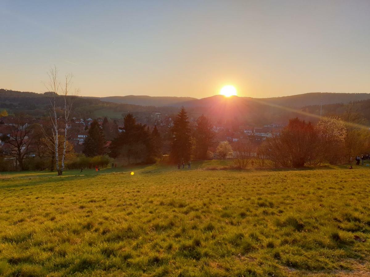 Ferienwohnung Weitblick Wolfshagen  Buitenkant foto